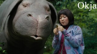 Okja korean movie (eng sub)