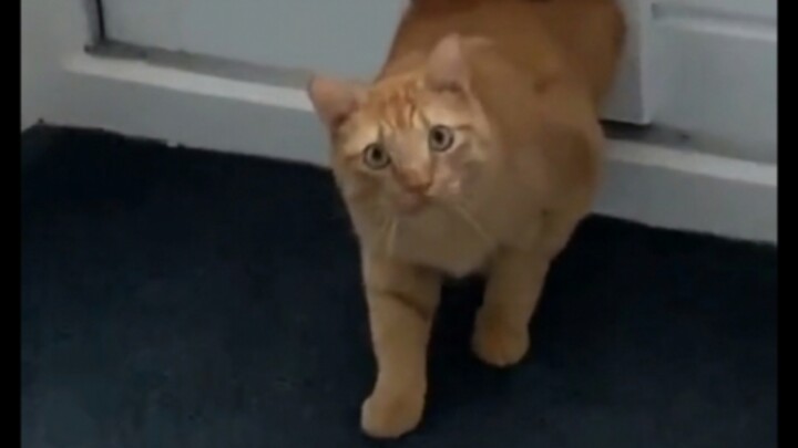 Mereka yang memahami situasi adalah orang-orang unggul.