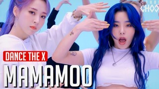 【MAMAMOO】金容仙哪咤头！最新舞蹈现场！发色超好看！