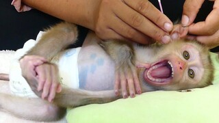 Most Funny! Adorable Little boy Maki Reaction While Mom Cleaning Ears Very Funny