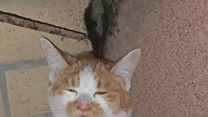 วัยแปดสิบ