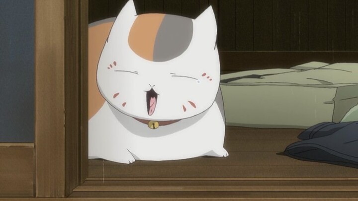 [ Natsume's Book of Friends ] The cute moments of falling in love with Natsume-san (Season 5 mashup)