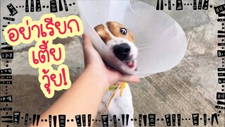 โลกของแสนดี ตอน ไอเตี้ย บางปะหัน