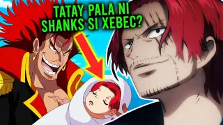 10 Things You Didn't Know About RED HAIR SHANKS!