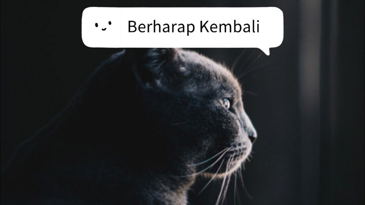 Berharap kembali. Ciptaan sendiri