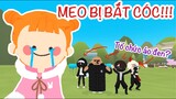 MEO CƠ TRƯỞNG BỊ TỔ CHỨC ÁO ĐEN BẮT CÓC 😱 TỔ CHỨC ÁO ĐEN TAN RÃ? 😳