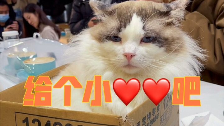 Humble boss begs for likes, shares, and subscriptions—online!