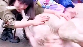 “还好是在做梦，该醒醒了？”