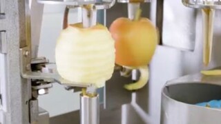 เครื่องจักรโรงงานอาหารทำงานที่ระดับบ้า4