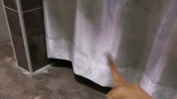 I bought a golden retriever for a hundred dollars. What did it learn in three days?