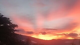 29 days before Christmas 🎄