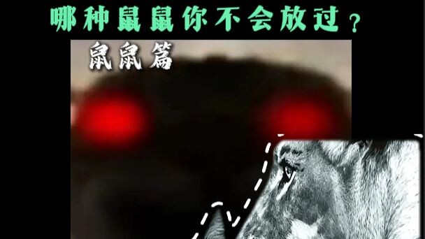 Which little mouse can’t you let go?