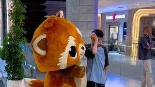 小男孩破防了！！看到一个浣熊人偶在卖力的舞动，却无人围观，心疼落泪