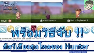 Ragnarok M ไกด์  - สัตว์เลี้ยงสุดโหดของฮันเตอร์ พร้อมวิธีจับ