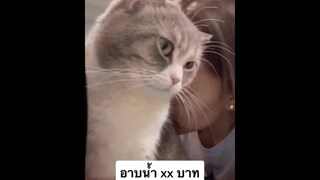 อาบน้ำ…บาท