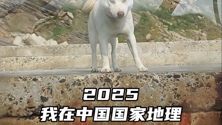 عام 2025.. رحلة عمل مع الجغرافيا الوطنية الصينية!