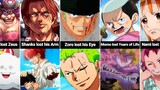 The Losses of One Piece Characters