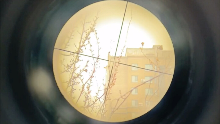 Randomly get a magnifying glass!