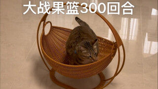 Giỏ trái cây đu dây