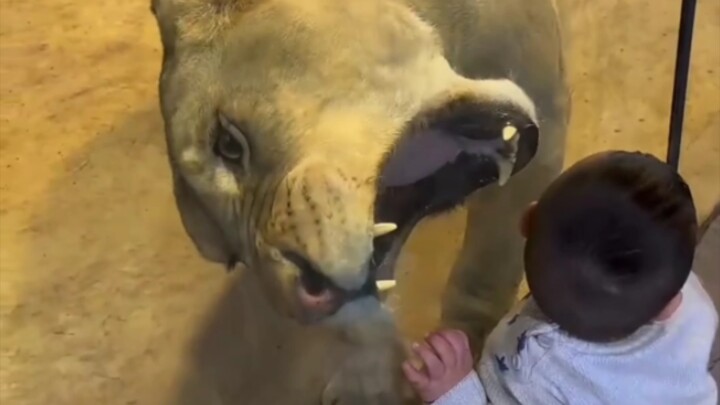 Tình yêu năm centimet