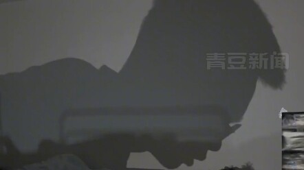 【青豆4月19日，河南郑州。舍友睡觉打呼噜逼疯一旁舍友