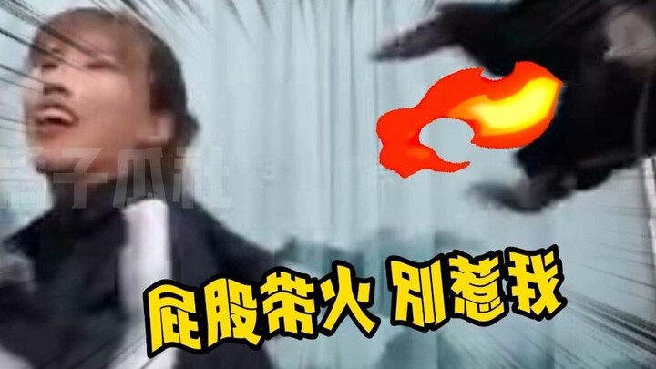 What’s so funny about a monkey kicking someone? (Trying not to laugh...)