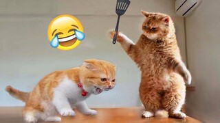 Funniest Animals 2023 🤣 New Funny Cats and Dogs 😺🐶 Part 11