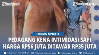 Viral Tawar Menawar Hewan Qurban Bikin Suasana Panas Sekitar Pasar Sapi Madura Harga 55 Juta