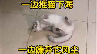 猫“不记得了，只记得当时好多人啊”
