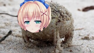 【Túi mùa hè】Ếch cây MumQ