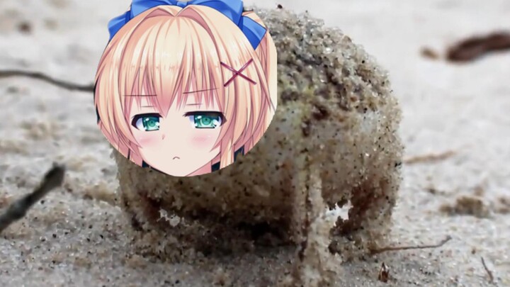 【Summer Pockets】MumQ Tree Frog