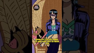 Băng Mũ rơm nghĩ gì về Nico Robin? | One Piece #anime #onepiece #luffy #daohaitac #nicorobin