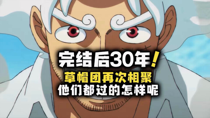 30 Years After “One Piece” Ended, the Straw Hat Crew Reunites—How Are They All Doing?