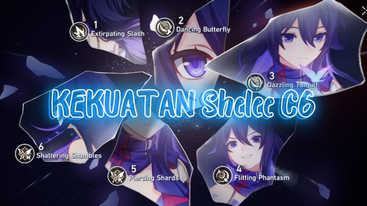 P adu Shele C6 Queen burst demage 👹👹