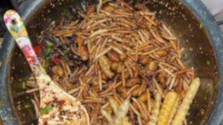 The cold-mixed insects on the streets of Yunnan are surprisingly delicious.