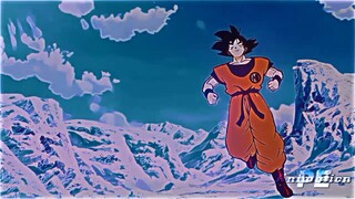 Goku ⚡