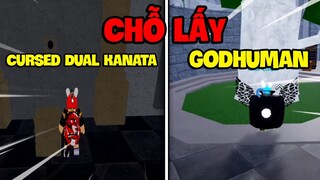 Chỗ Lấy GODHUMAN Và CURSED DUAL KATANA Trong Blox Fruits Update 17 Part 3