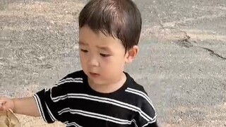 تياو تياو وشياوباى