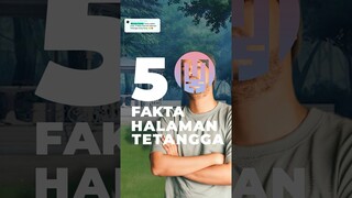 5 Fakta Halaman Tetangga