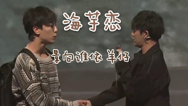 景向谁依×羊仔《海芋恋》伪合唱 腿都抖起来！