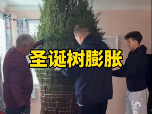 Christmas tree instantly balloons open after untied