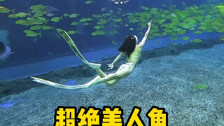 حسّن تعليقات "آيرون بين هو الأنعم"! #coolsportswatchironbean #freediving #waterdance