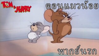 Tom and Jerry ตอน แมวน้อย