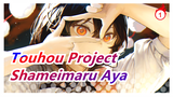 Touhou Project | [Koleksi Pilihan - 5] Apa yang Direkam Shameimaru Aya_1