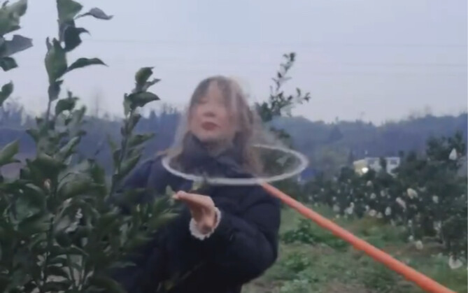 Raja, ayo tangkap aku!