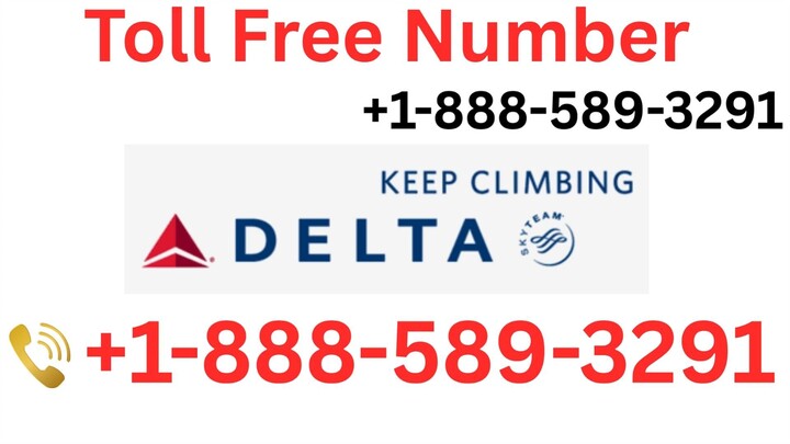 Full™ List of KLM Airline𝖘 Support Toll Free® Numbers in the USA : A complete guide