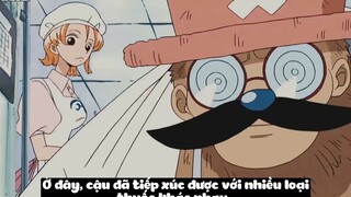 Top 7 Bác Sĩ Vĩ Đại Nhất One Piece p7