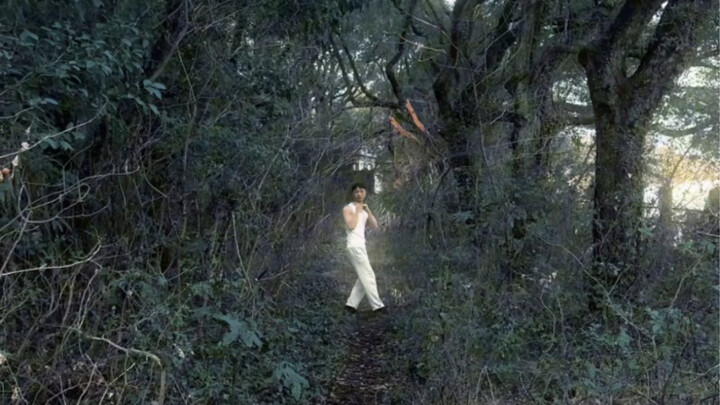 【拳影回忆录】捕影