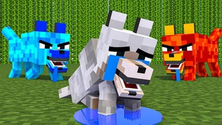 Monster School : Wolf Life Movie All Episode - Sad Story - Minecraft Animation