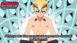 Mode Sage Otsutsuki Boruto - Sang Pewaris Legendaris Namikaze